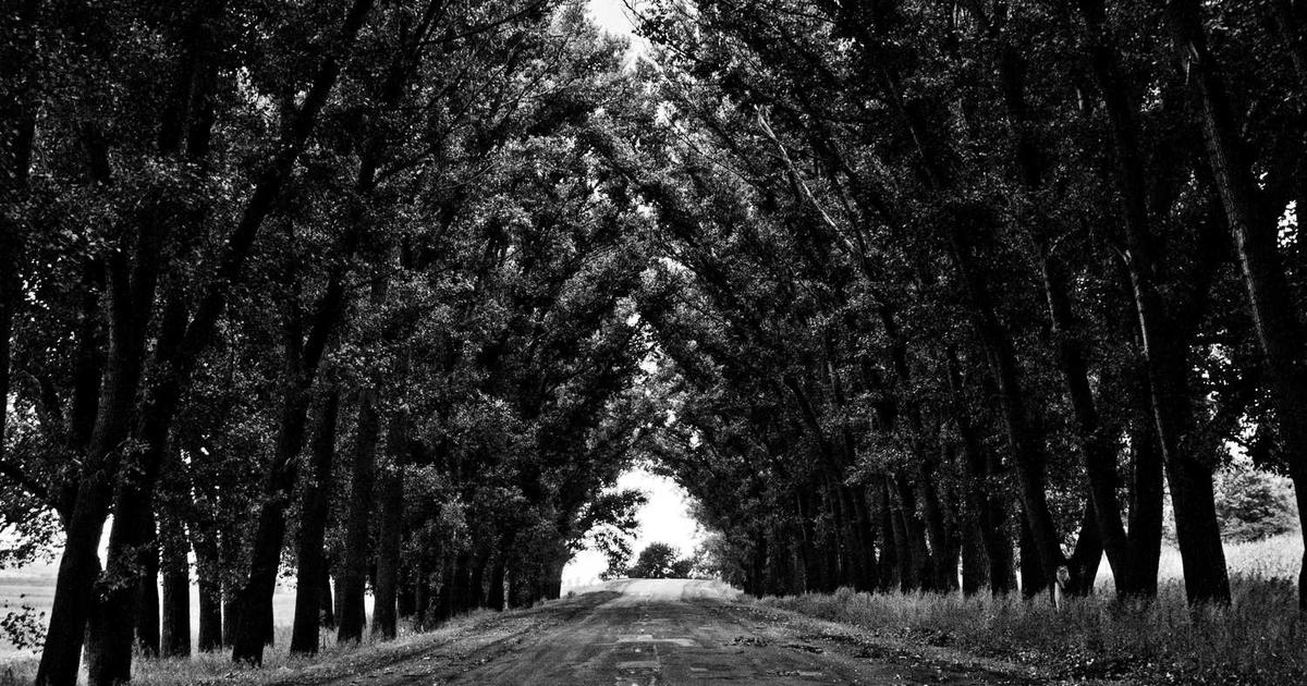 AI for Developers: Mastering LLMs and Smarter Workflows