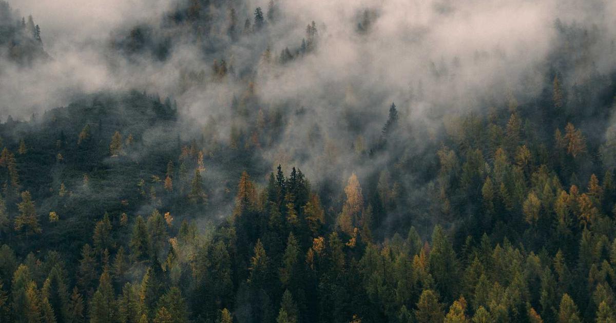 Mastering AI Integration: The Developer's Guide to LLMs